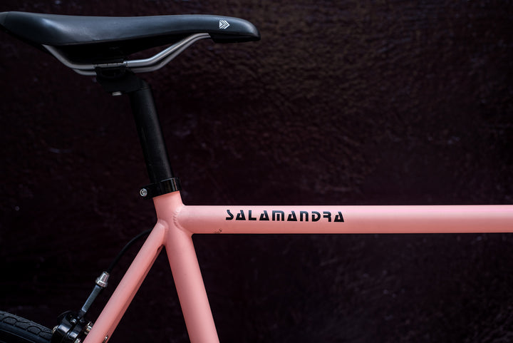 Bicicleta Salamandra