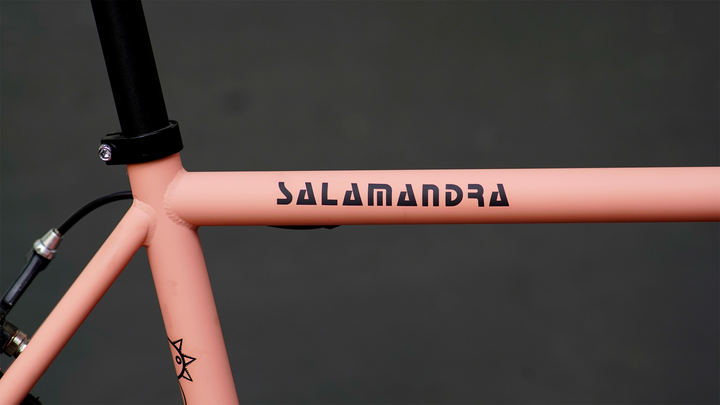 Bicicleta Salamandra